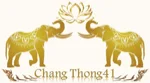 Chang Thong 41 Logo